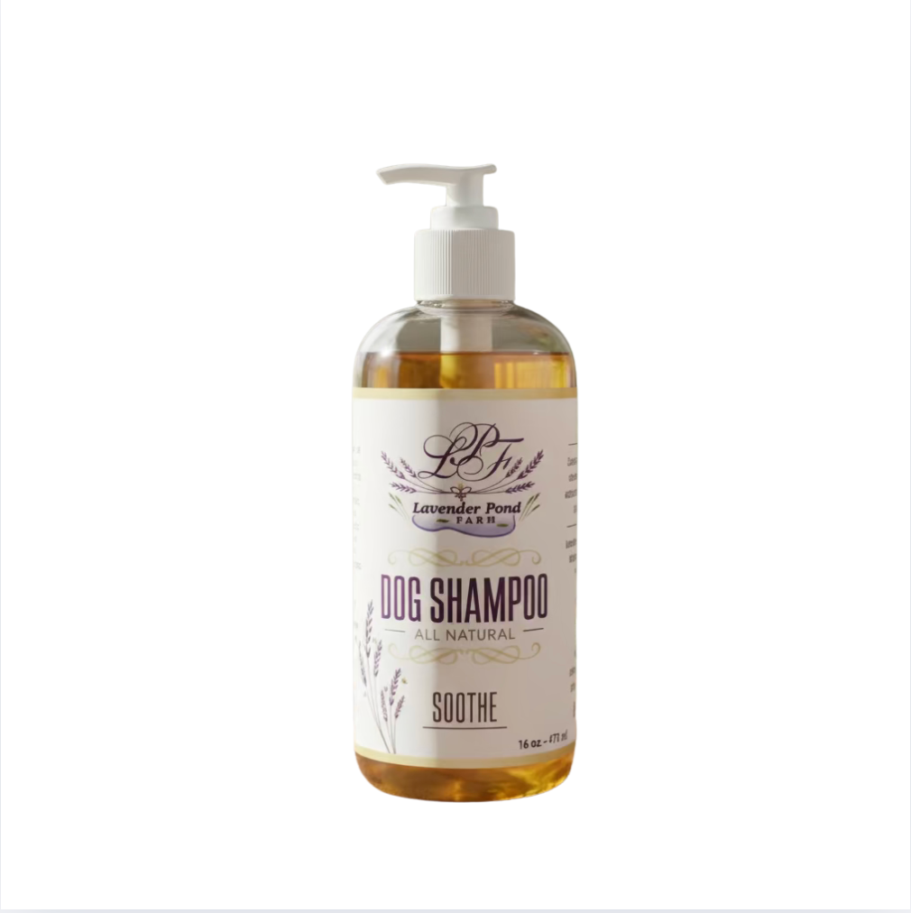 シャンプー Littlehampton Lavender Dog Shampoo – Lavender Pond Farm
