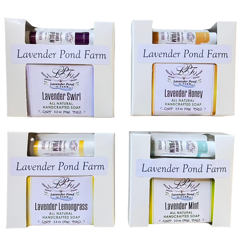 LAVA RUG、エッセンシャルバーム、ライフサポートドリンクセット 定期