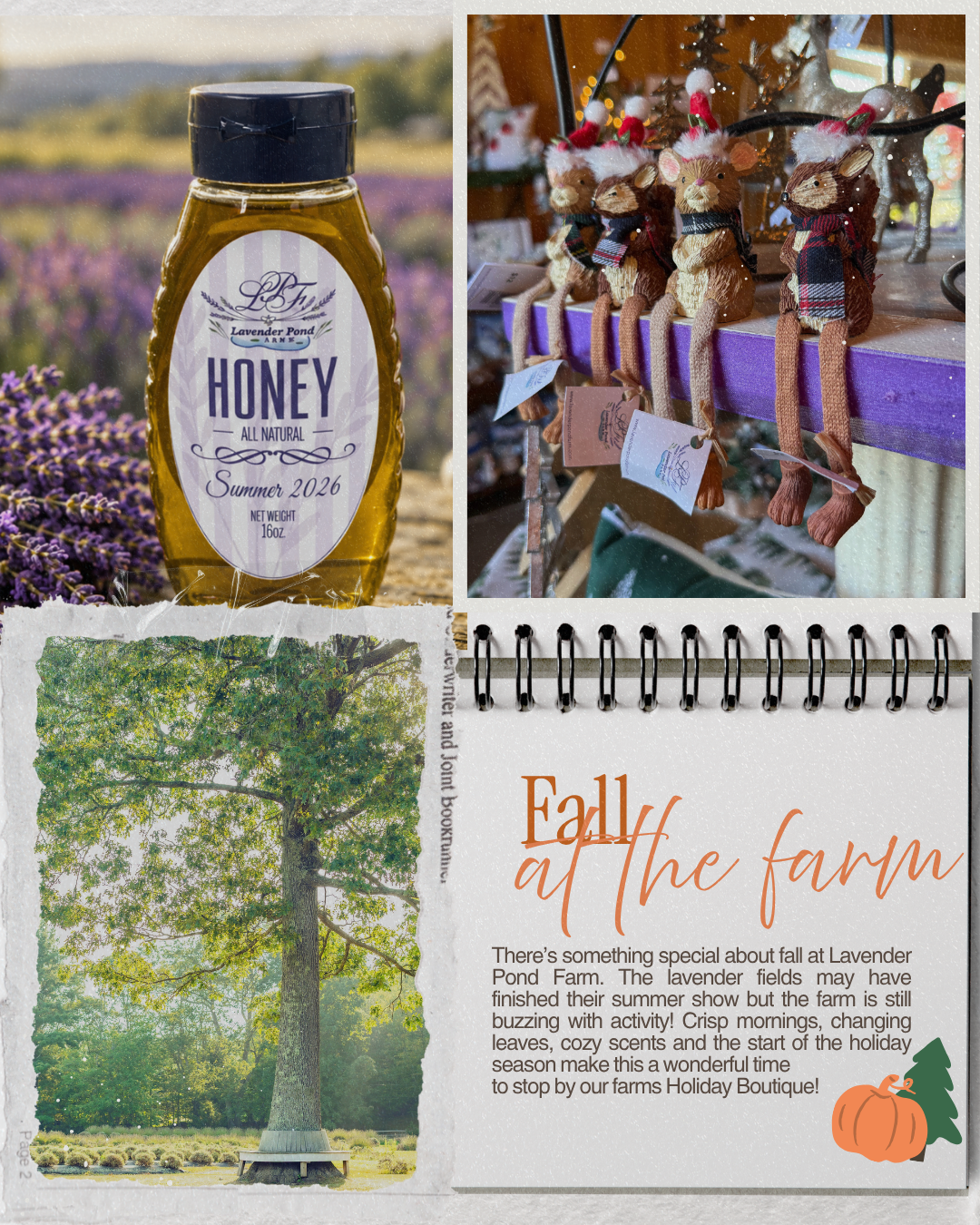 Fall at the Farm: Honey, Holiday Shopping & More! 🍂💜🌲