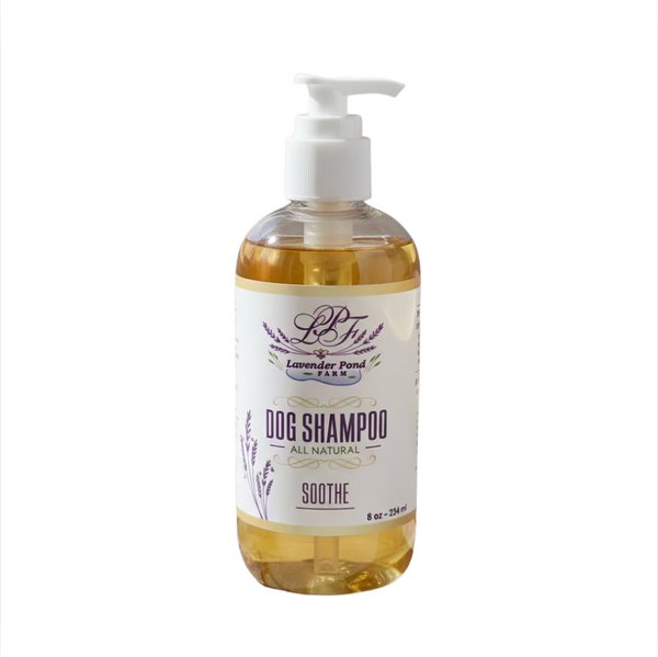Lavender Dog Shampoo – Lavender Pond Farm