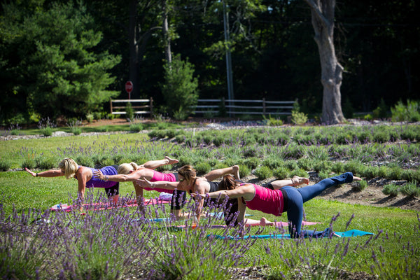 Yoga in the Lavender Fields