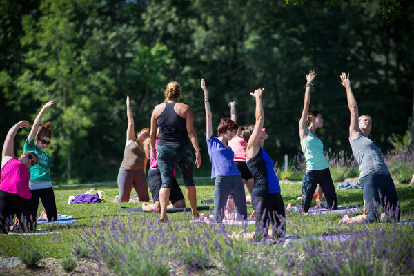 Yoga in the Lavender Fields